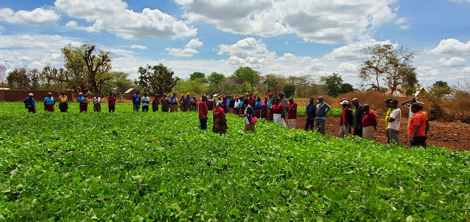 Farmers learn climate smart agriculture practices