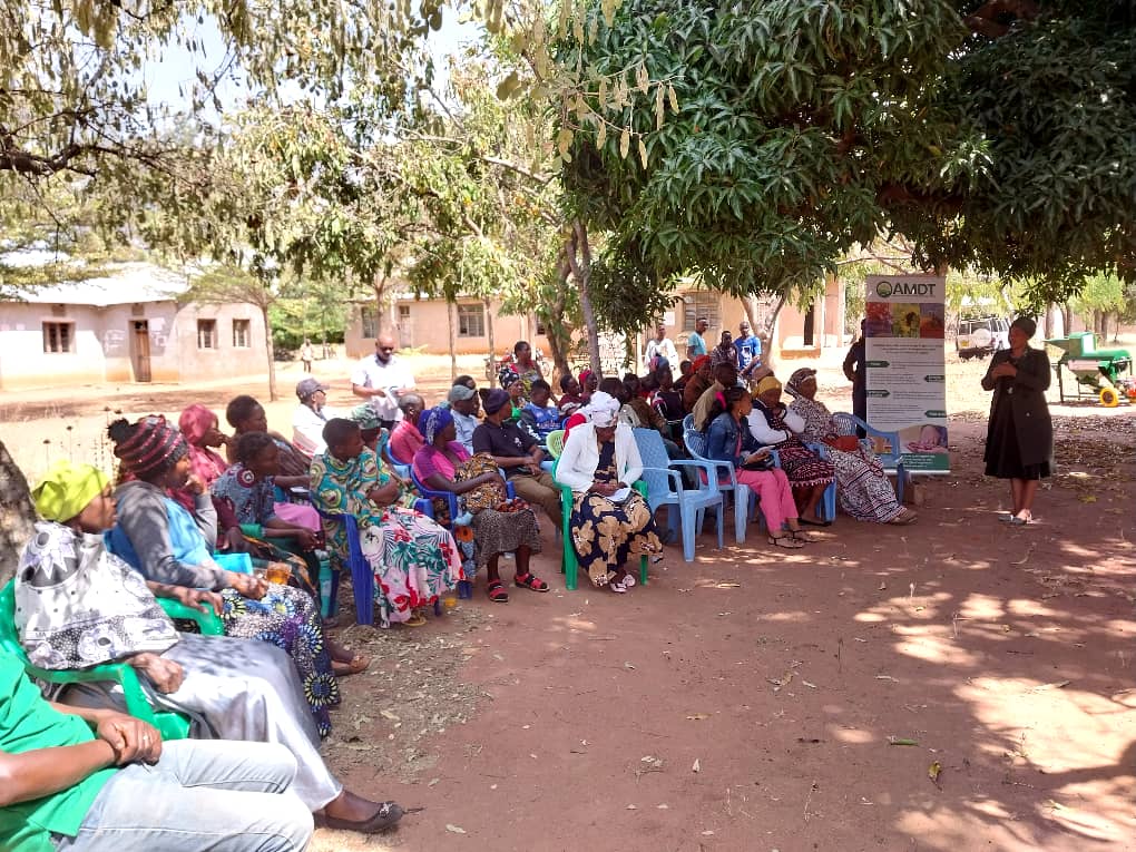 Youth Entrepreneurship for the Future of Food and Agriculture (YEFFA):Youth Empowerment and Employment through an Improved Sunflower Commodity (YES). 